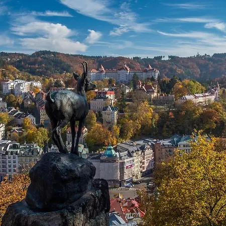 Bluestars Karlovy Vary